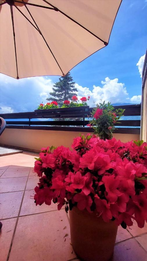 Nora S Home 4 - Panoramic Terrace & Bio Garden เมราโน ภายนอก รูปภาพ